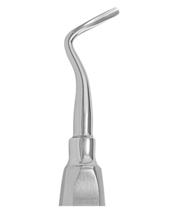 Apical No.302(Left)