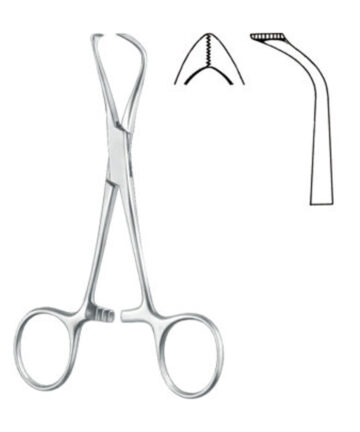 Towel Forceps (According to Lorna, Fine Serrated)