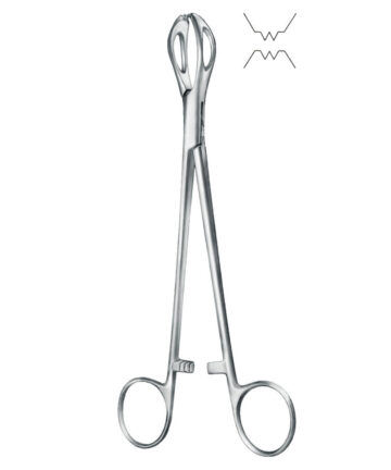 Towel Forceps (According to Lane, Straight)