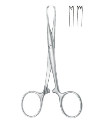 Forceps (According to Chaput, Straight, 2 x 3 Teeth)