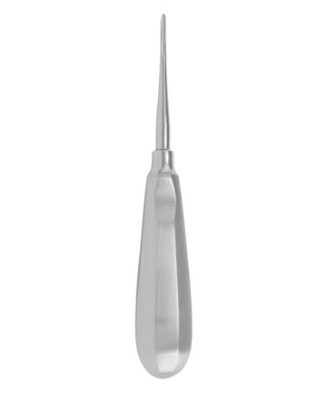 Bein (2mm)