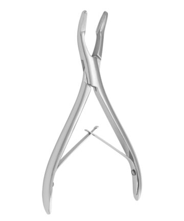 Bluementhal (13cm)