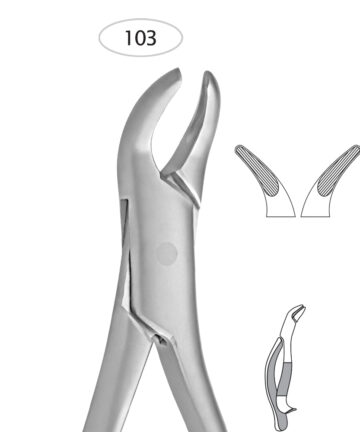 Lower Incisors, Premolars, Roots (103)