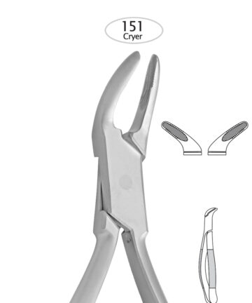 Lower Incisors, Premolars, Roots