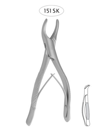 Lower Incisors, Premolars, Roots
