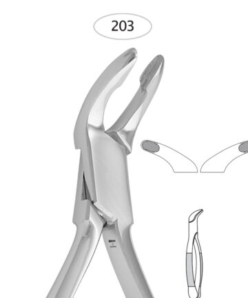 Lower Incisors, Roots (203)