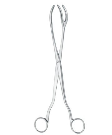 Sterilizing Forceps