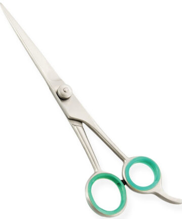 Professional Styling Scissors