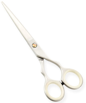 Professional Styling Scissors