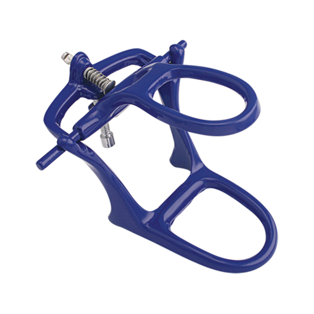 Royal-Blue.jpg