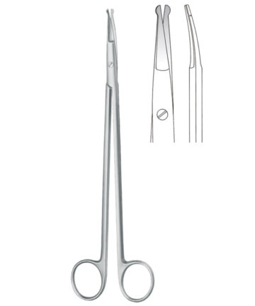 Strully Blunt Curved Scissors