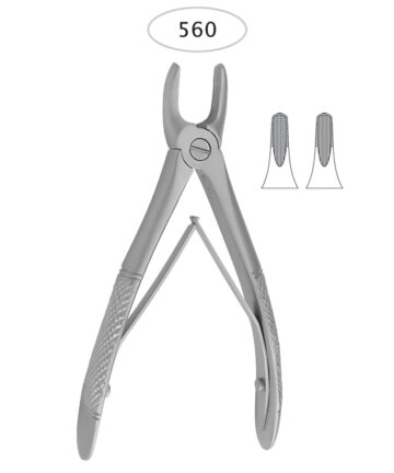 Upper Incisors