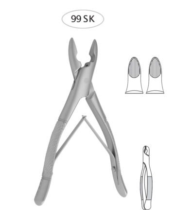 Upper Incisors, Canines, Premolars