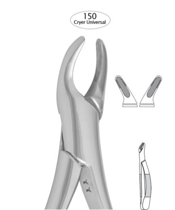 Upper Incisors, Premolars, Roots