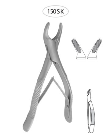 Upper Incisors, Premolars, Roots