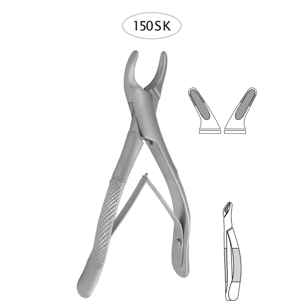 Upper-Incisors-Premolars-Roots-150-sk.jpg