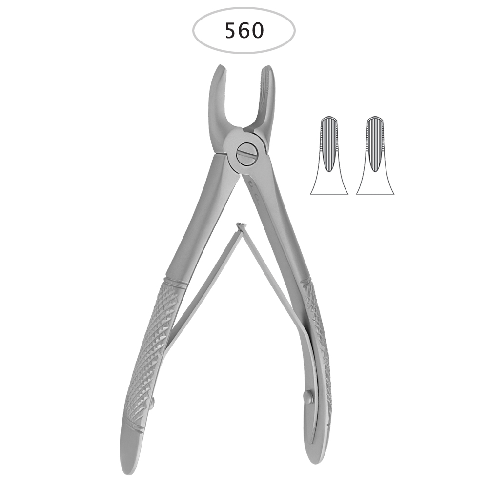 Upper-Incisors.jpg