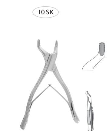 Upper Molares (Sup.10SK)