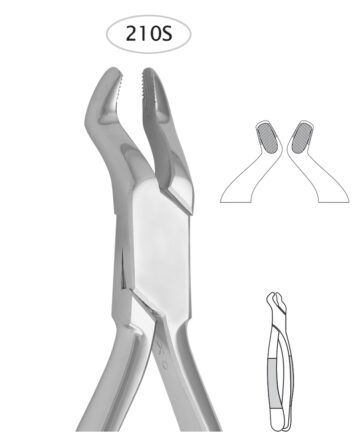 Upper Third Molars (210 S)