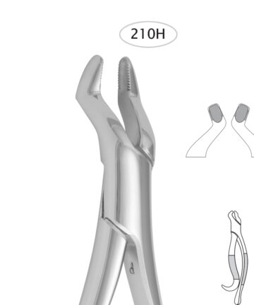Upper Third Molars (210 H)