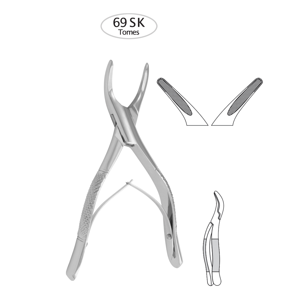 Upper-and-Lower-Roots-39sk.jpg